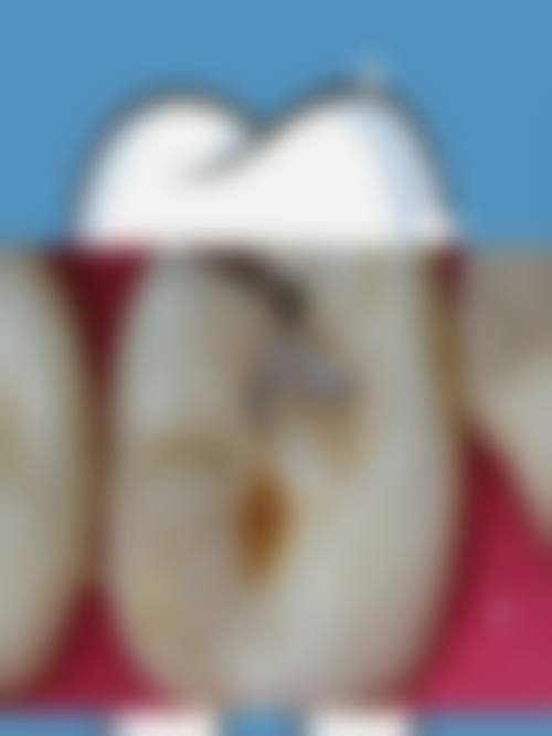 特色项目与价格优势
