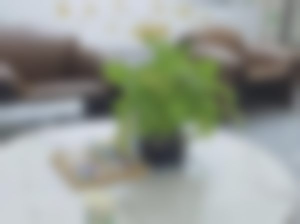 六、诸暨浙绍口腔门诊部地址及交通路线