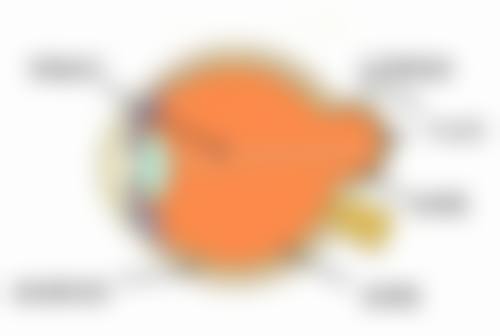 八、王茜珂医生联系方式及预约挂号