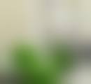 2、深圳江南春天整形美容医院是正规医院吗?正规资质查阅: