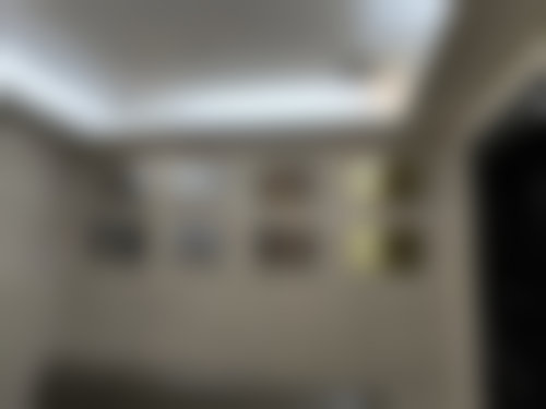 医生团队:李敬秀院长的专精资质