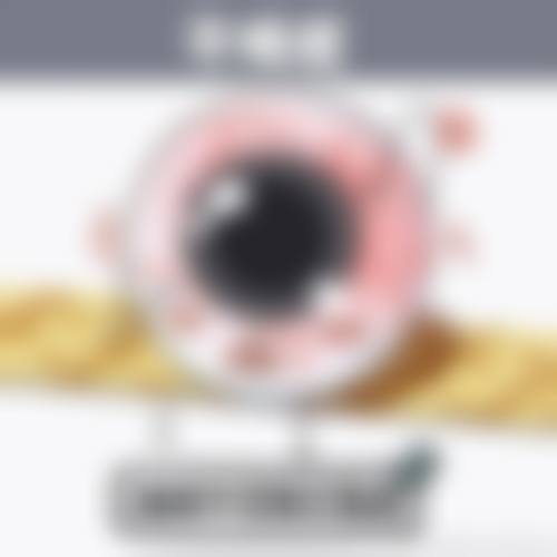 擅长项目详解