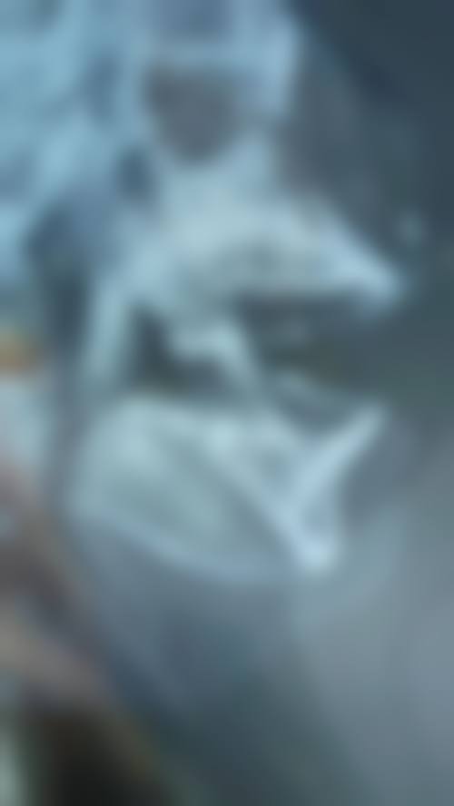 总结:专精口腔服务,信赖一森口腔