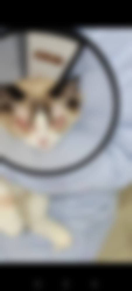 设备环境介绍:数字化诊疗的硬件支撑