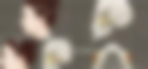 韓國SHESWELL vs 港澳本地婦科檢查:邊個更抵?3個因素揀