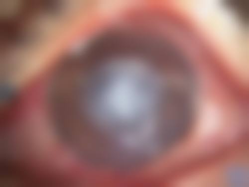 医院资质与实力：正规专精的眼科机构