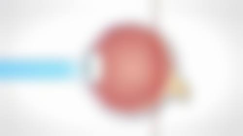 五、任征医生坐诊医院信息