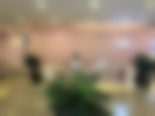 二、程文明医生擅长项目