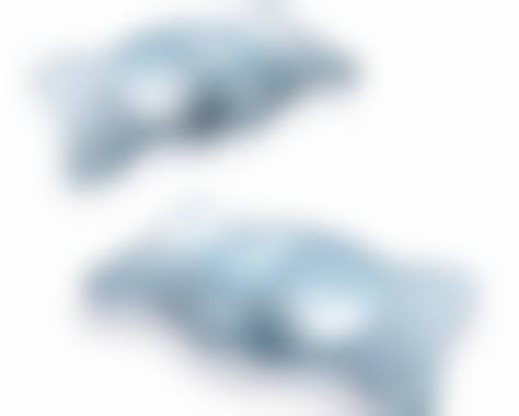 特色项目与惠民价格