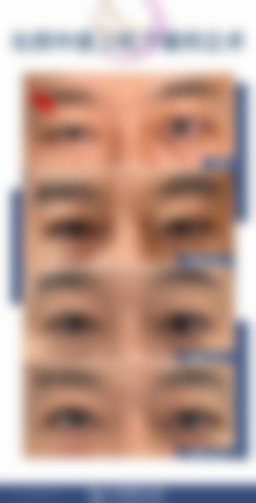 特色项目与技术保护