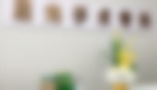 预约优惠活动